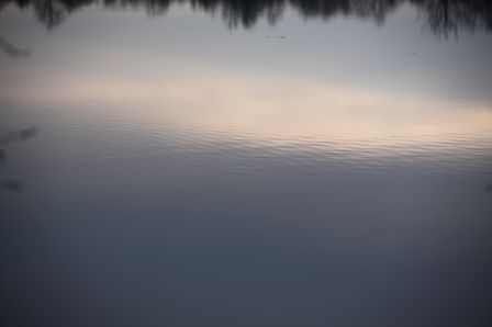 Venez apprendre à ralentir : atelier Mindfulness le week end du 11 avril